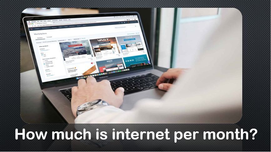 How much is internet per month
